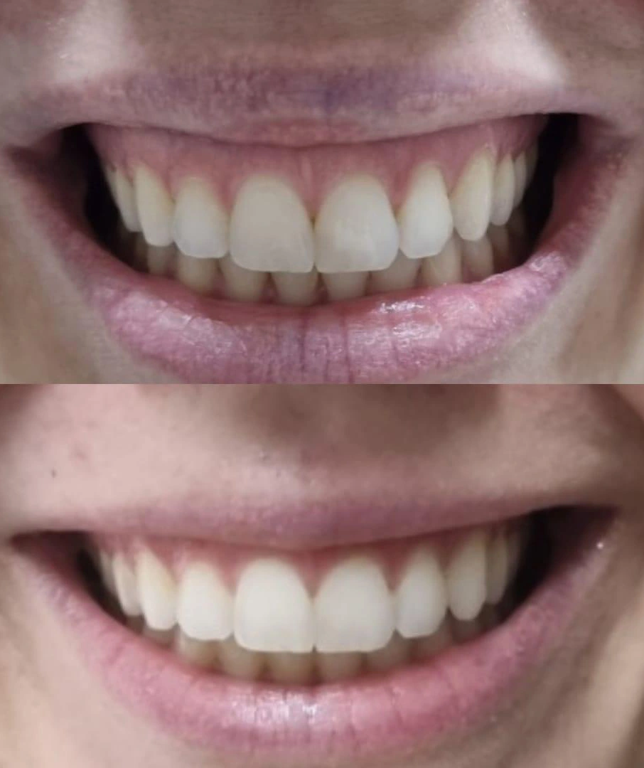 Odontologia